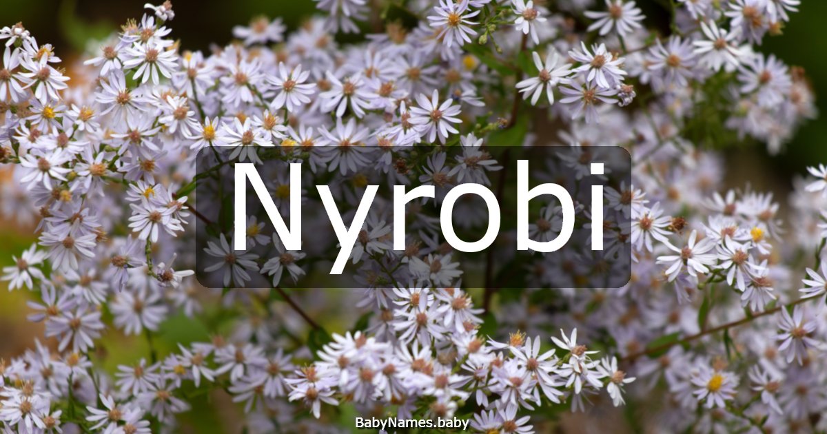 Nyrobi