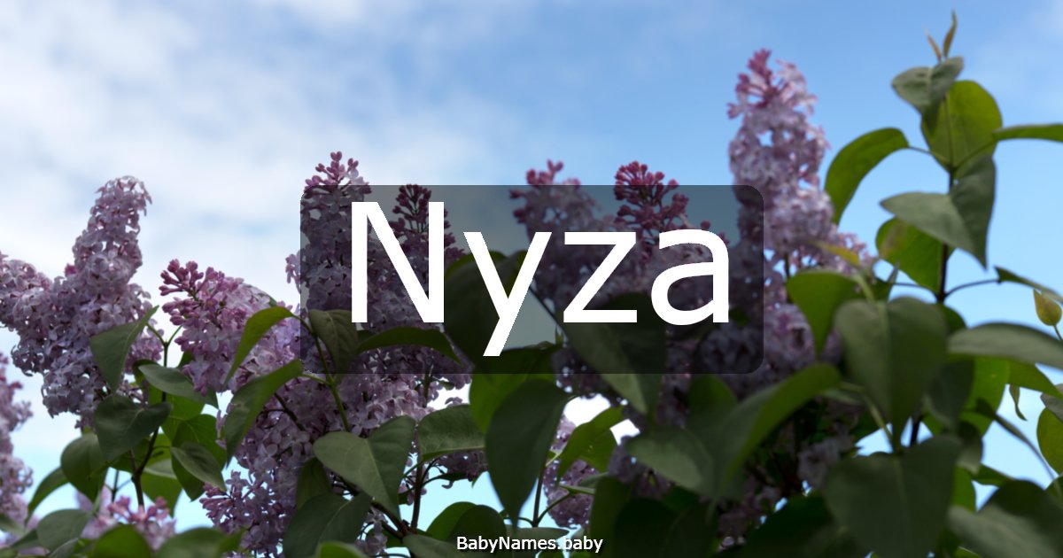 Nyza
