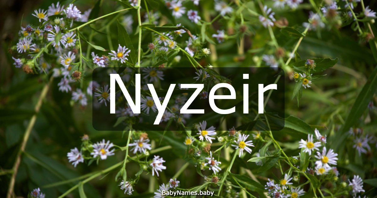 Nyzeir