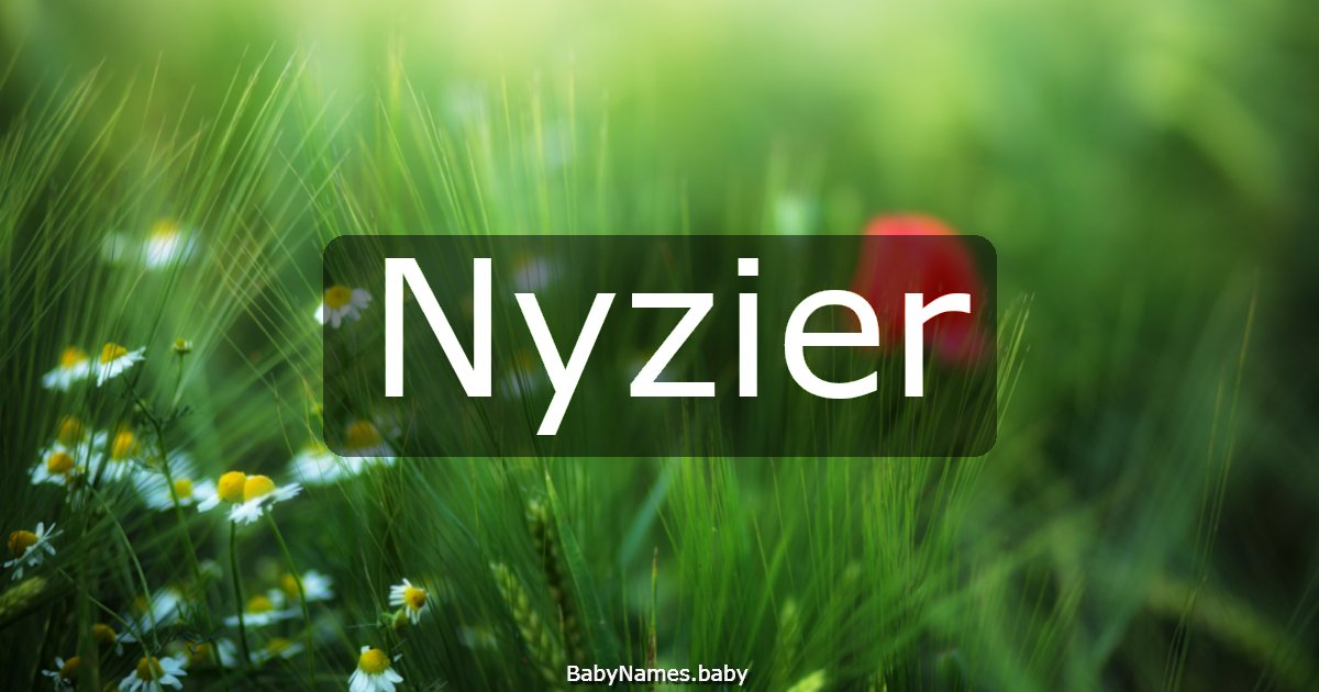 Nyzier