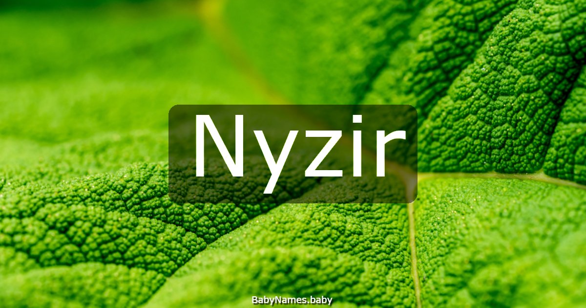 Nyzir