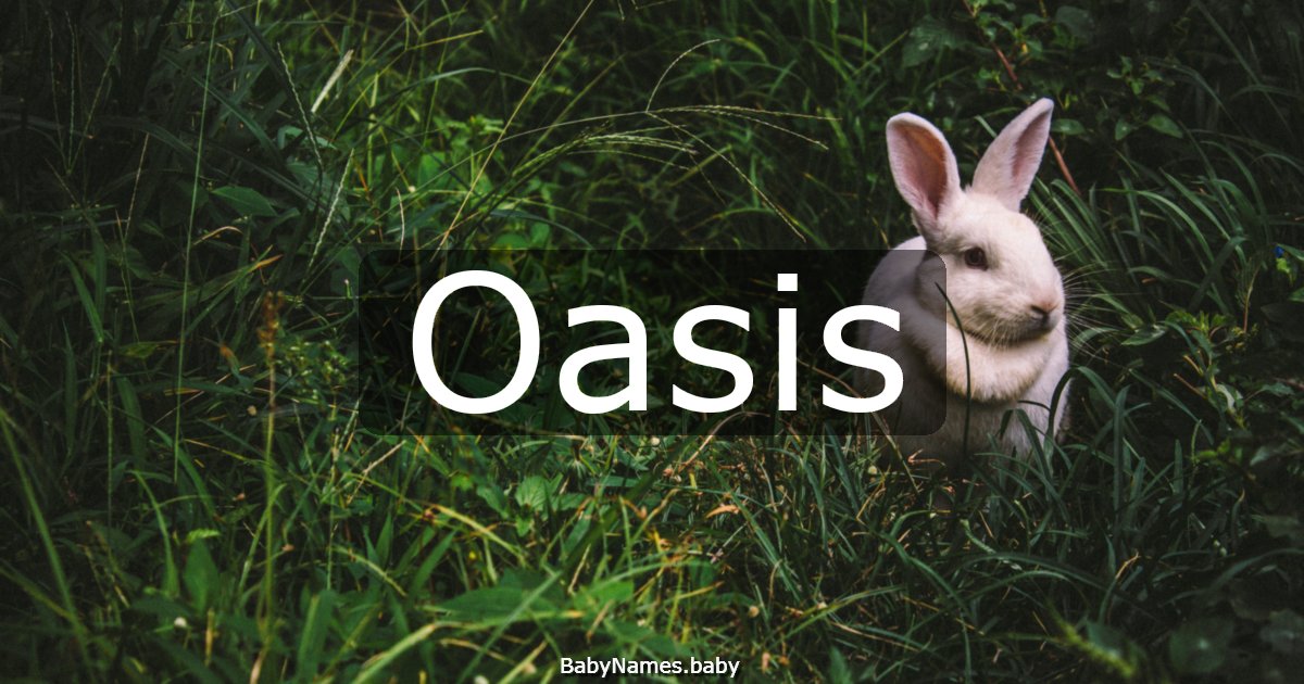 Oasis