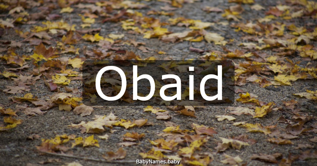 Obaid