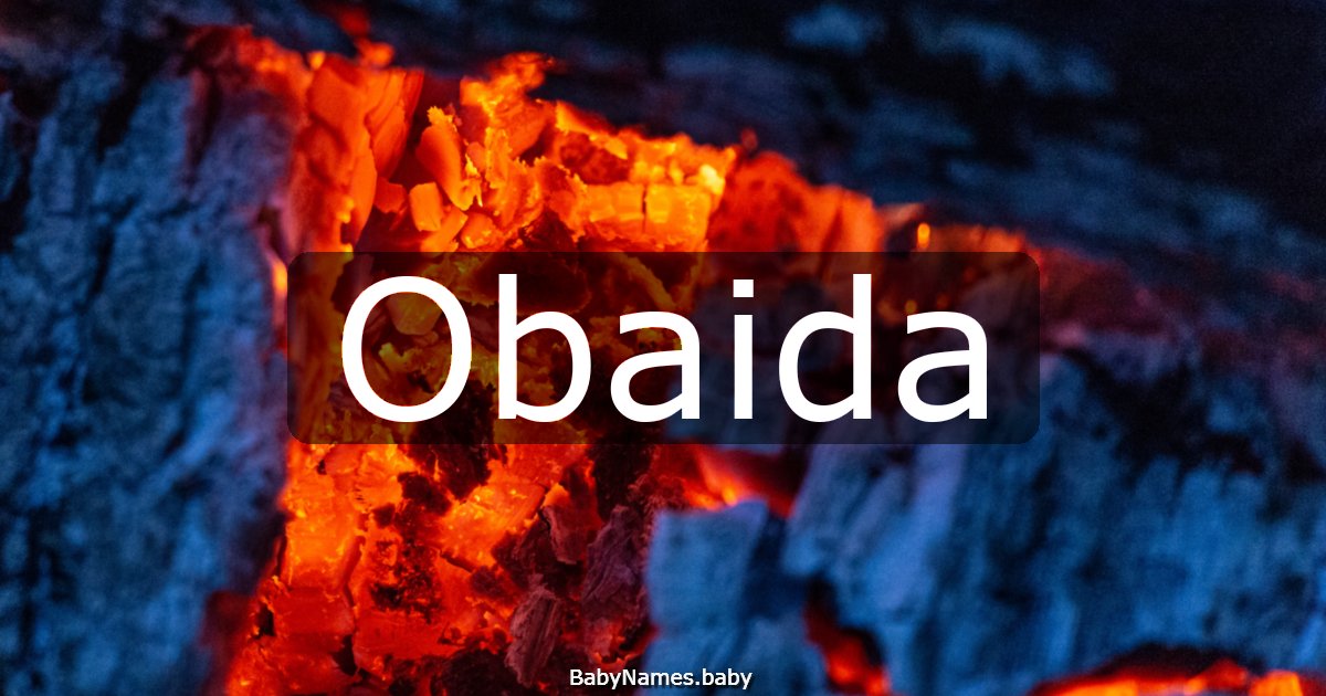 Obaida