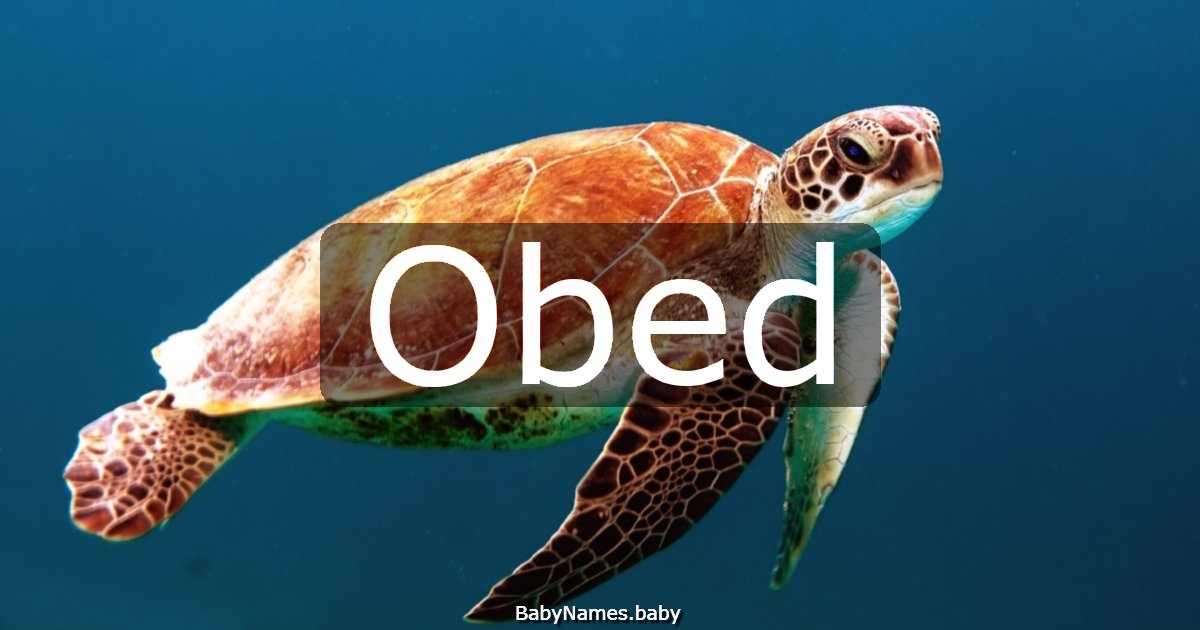 Obed