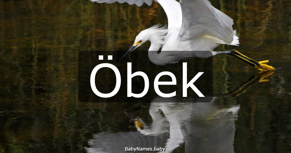 Öbek