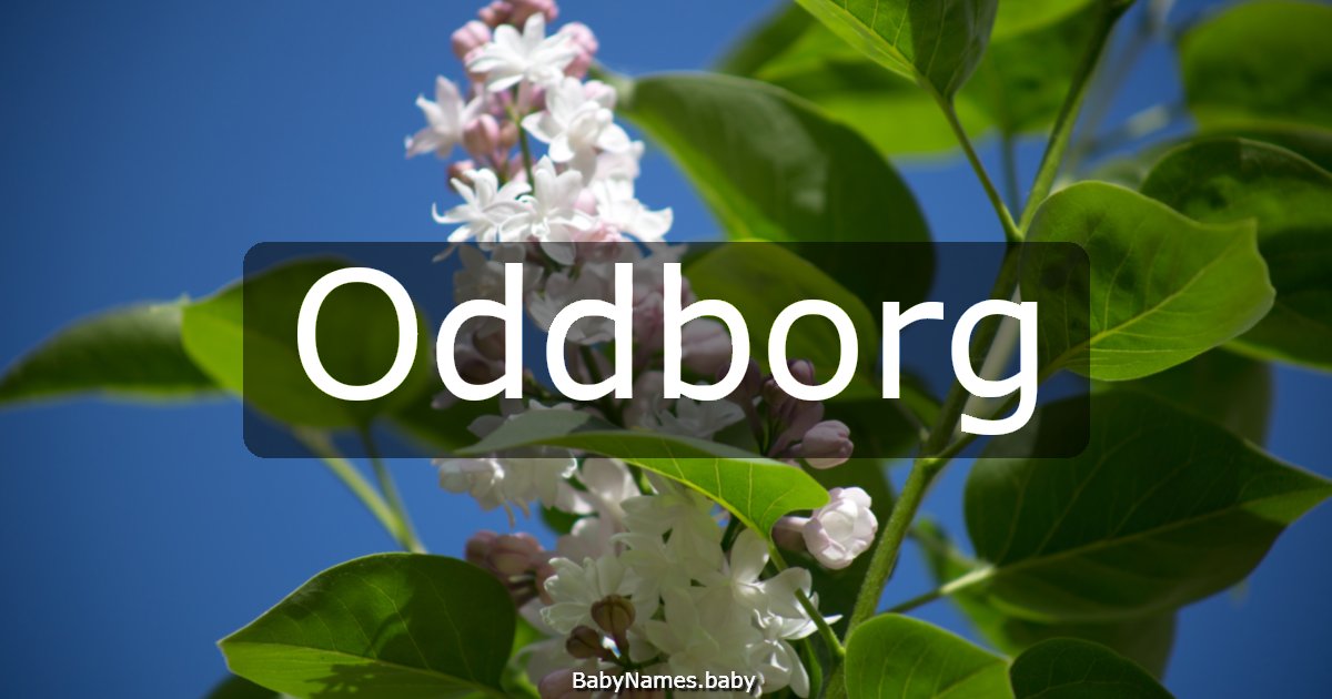 Oddborg