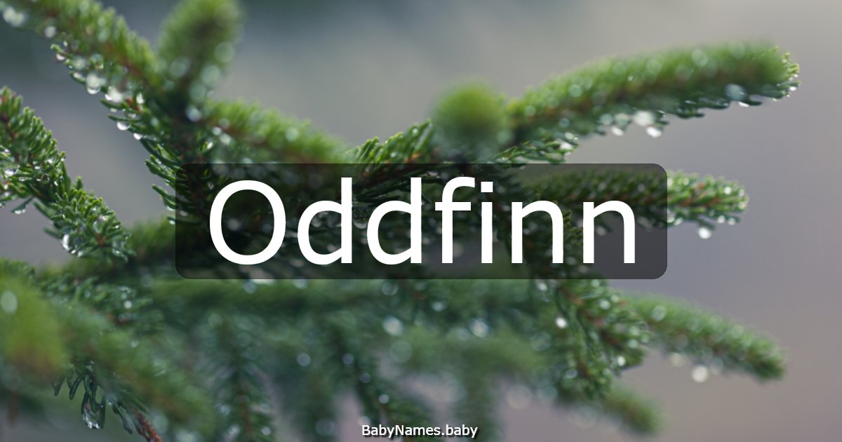 Oddfinn