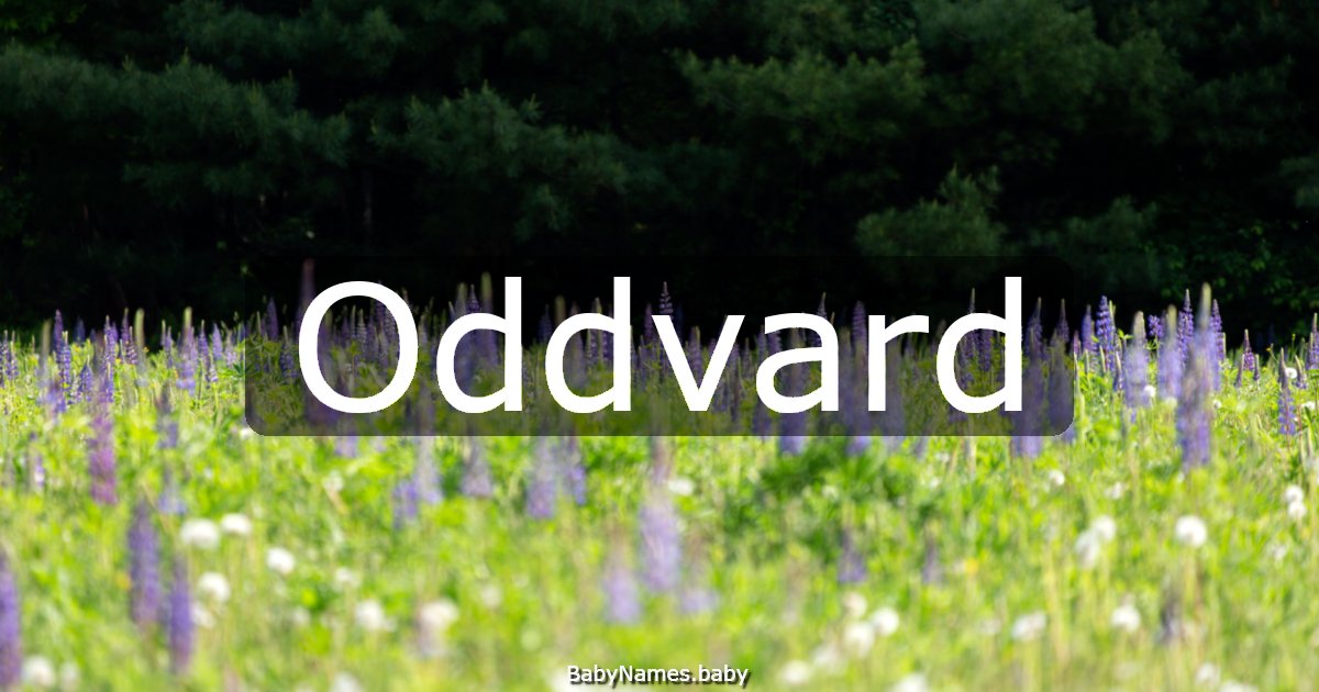 Oddvard