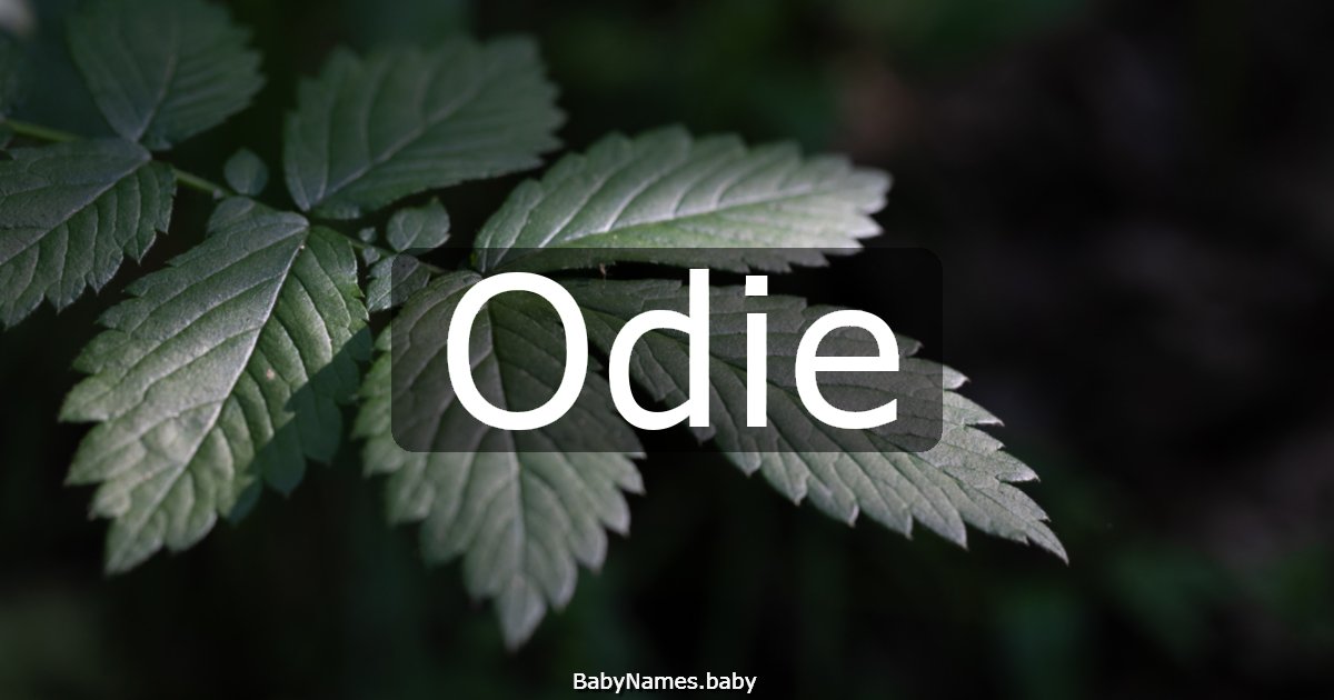 Odie