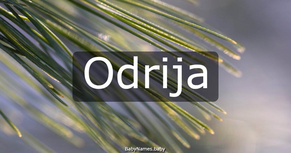 Odrija