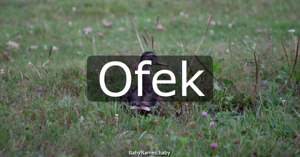 Ofek