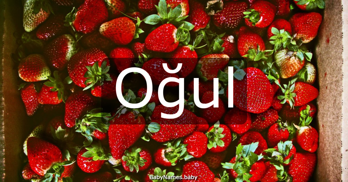 Oğul