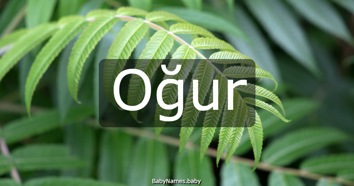 Oğur