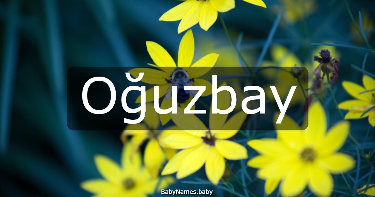 Oğuzbay