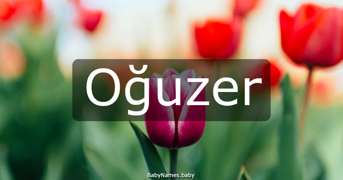 Oğuzer