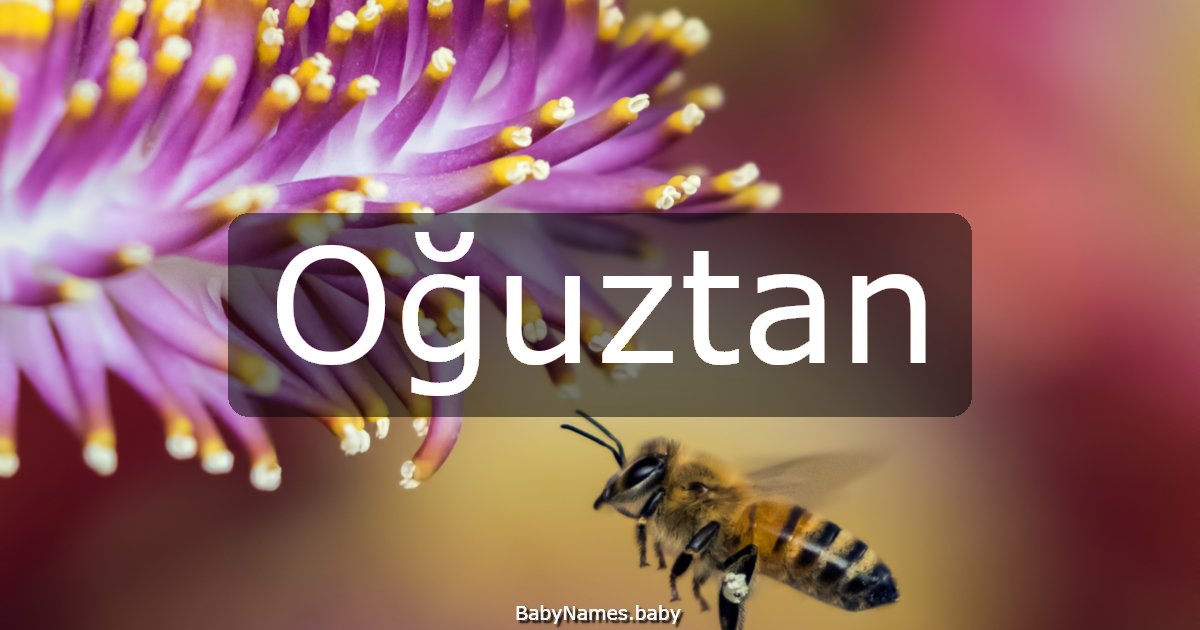 Oğuztan