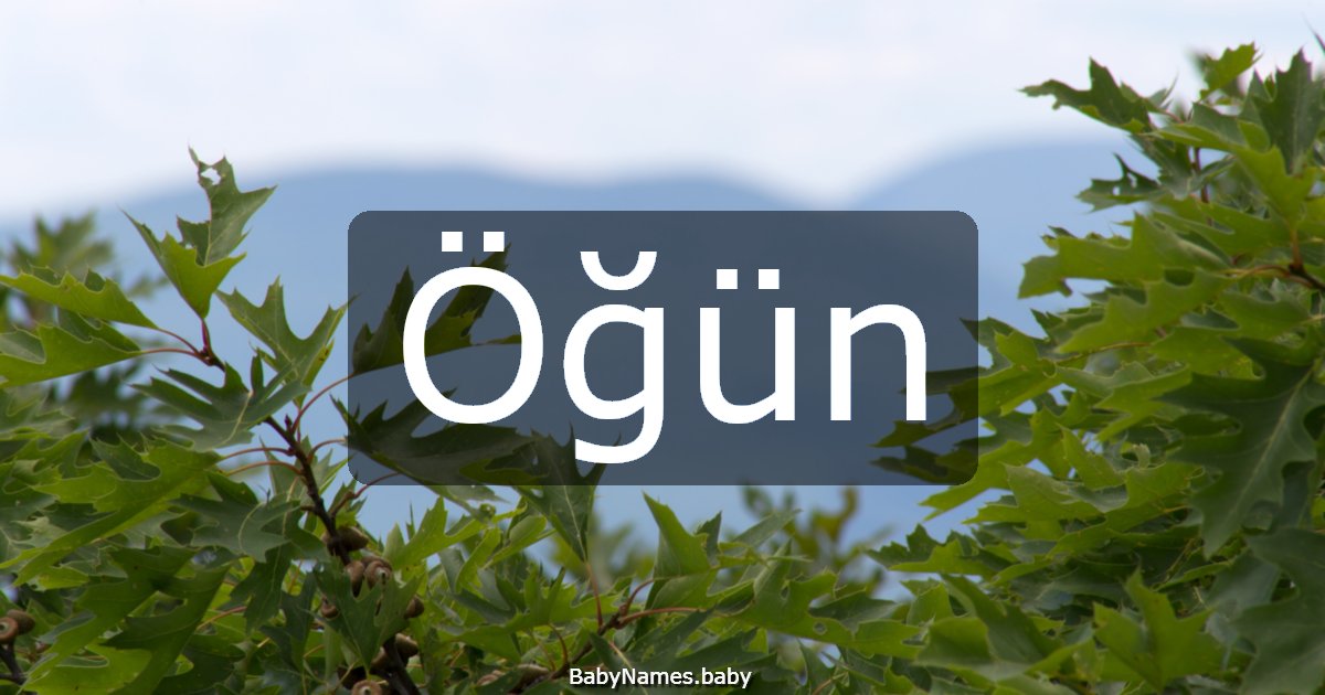 Öğün