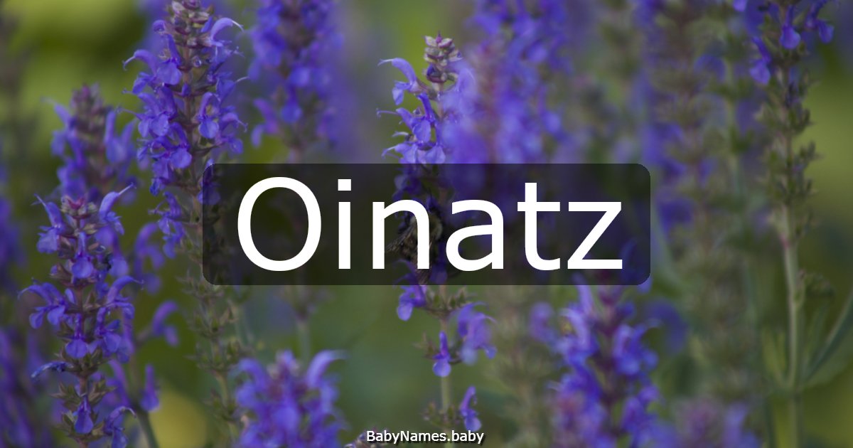 Oinatz