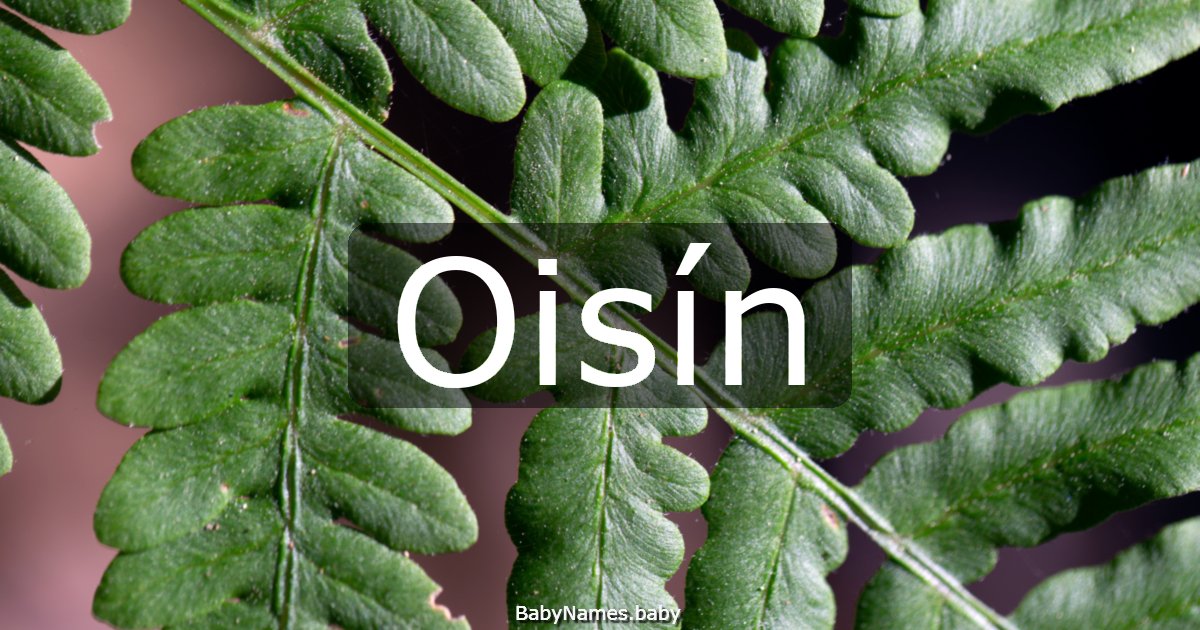 Oisín