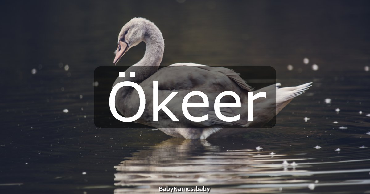 Ökeer