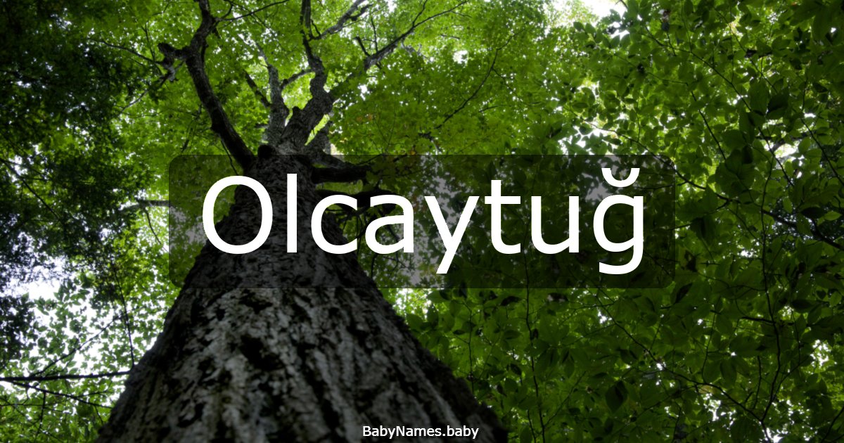 Olcaytuğ