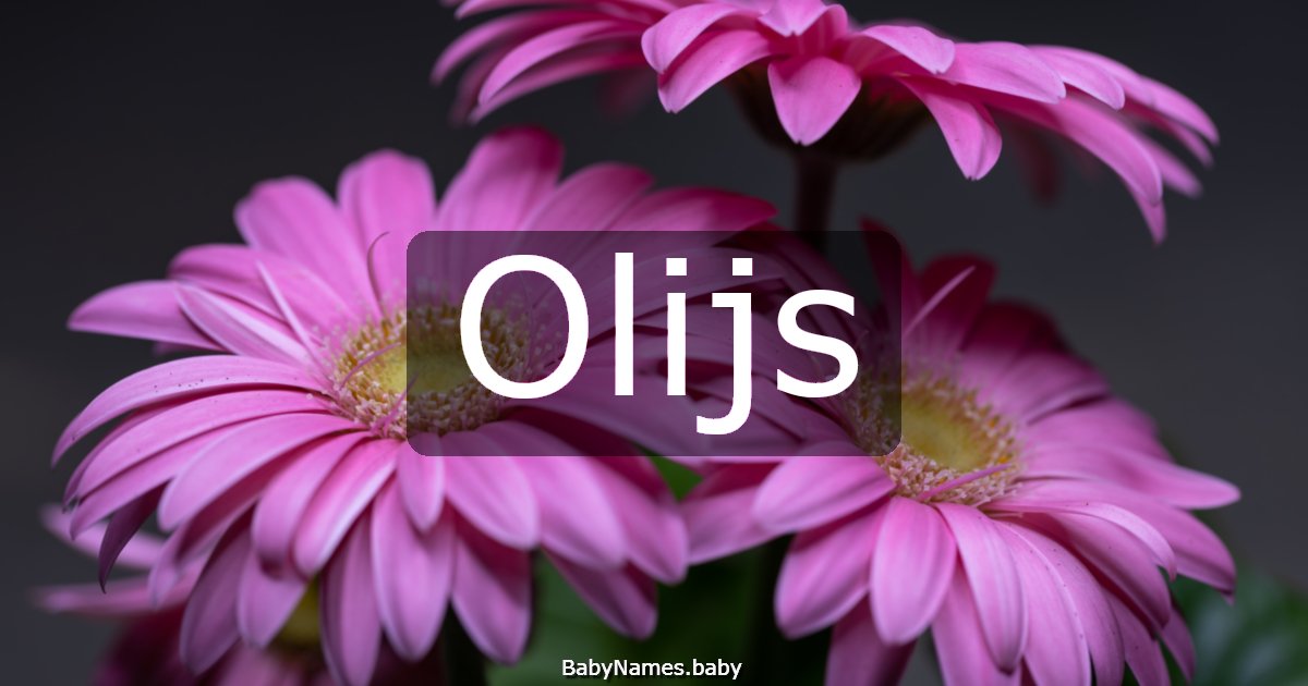 Olijs