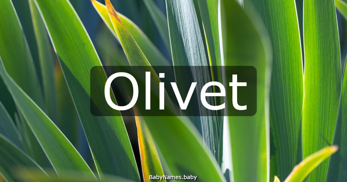 Olivet