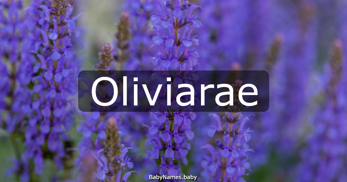 Oliviarae