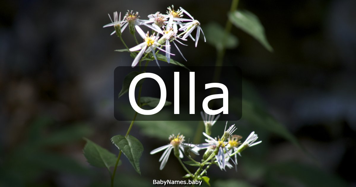 Olla