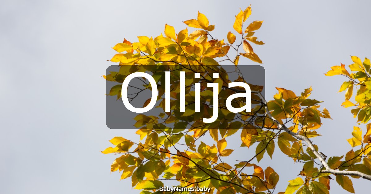 Ollija