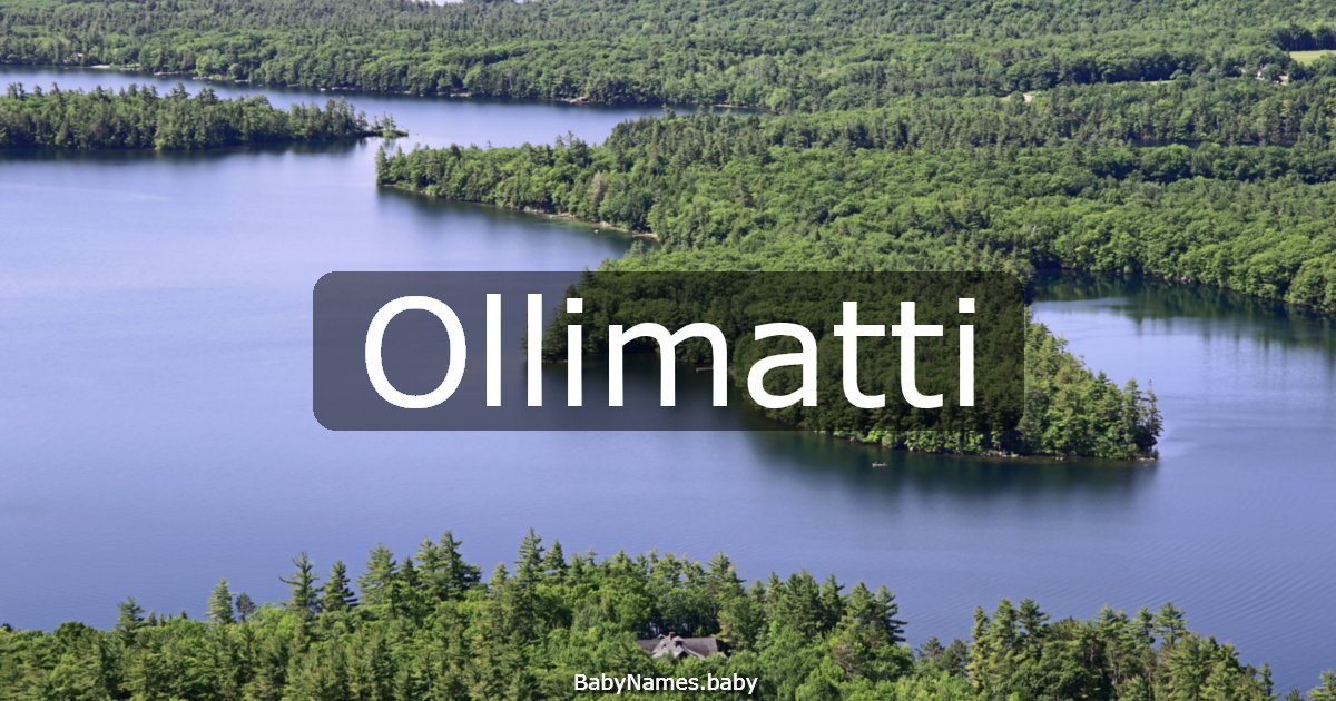 Ollimatti