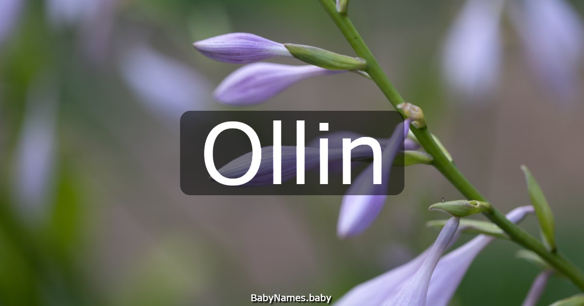 Ollin