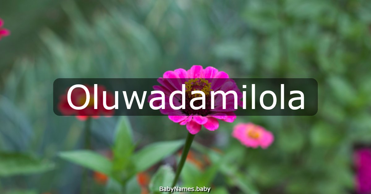 Oluwadamilola