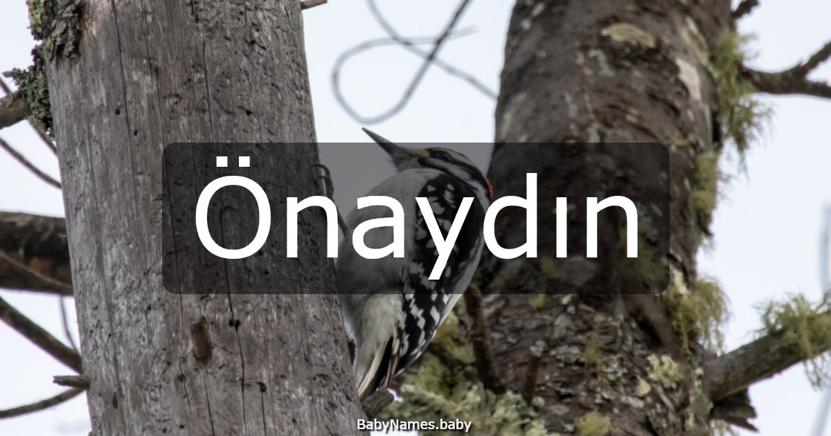 Önaydın