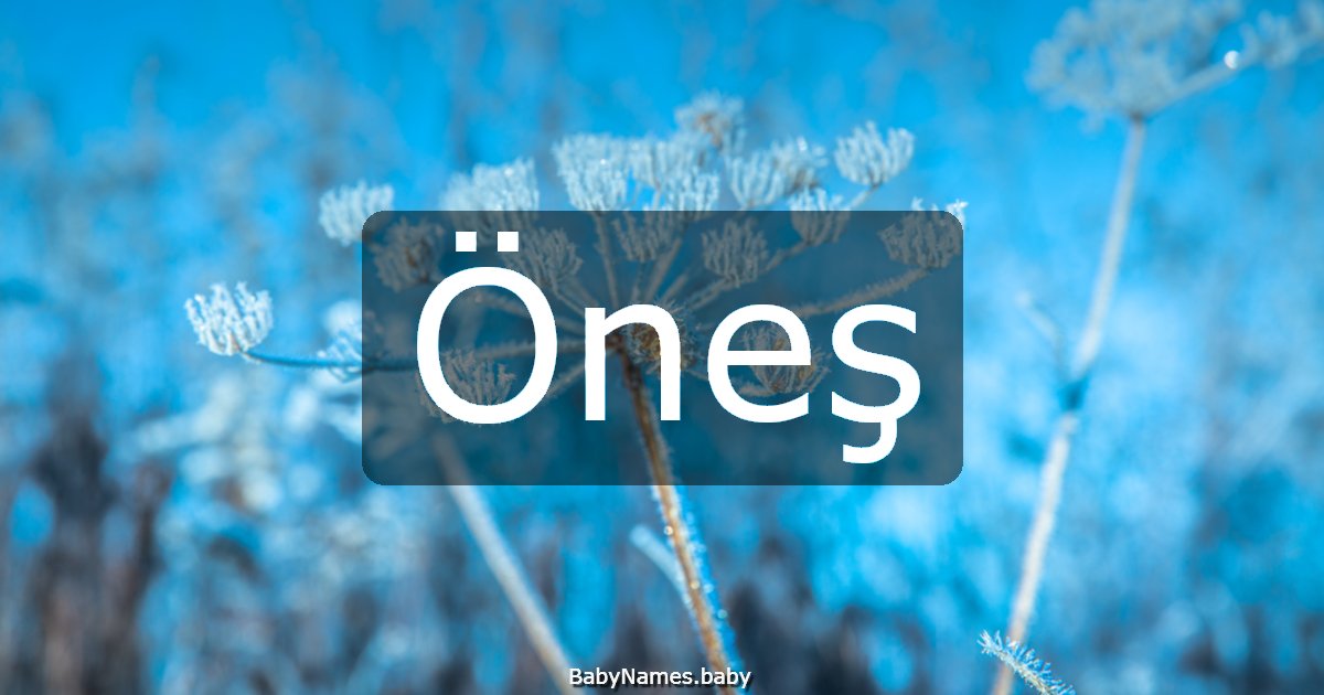 Öneş