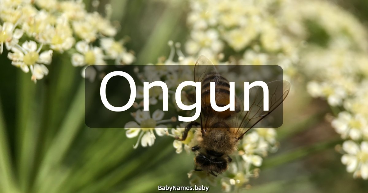 Ongun