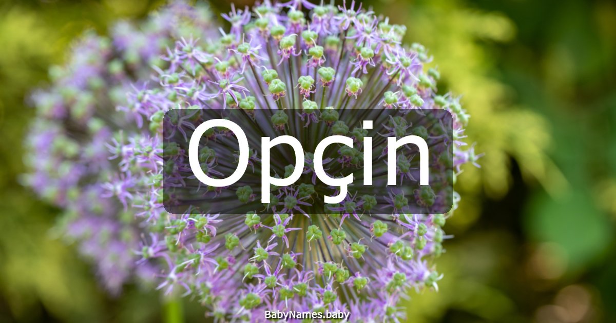 Opçin