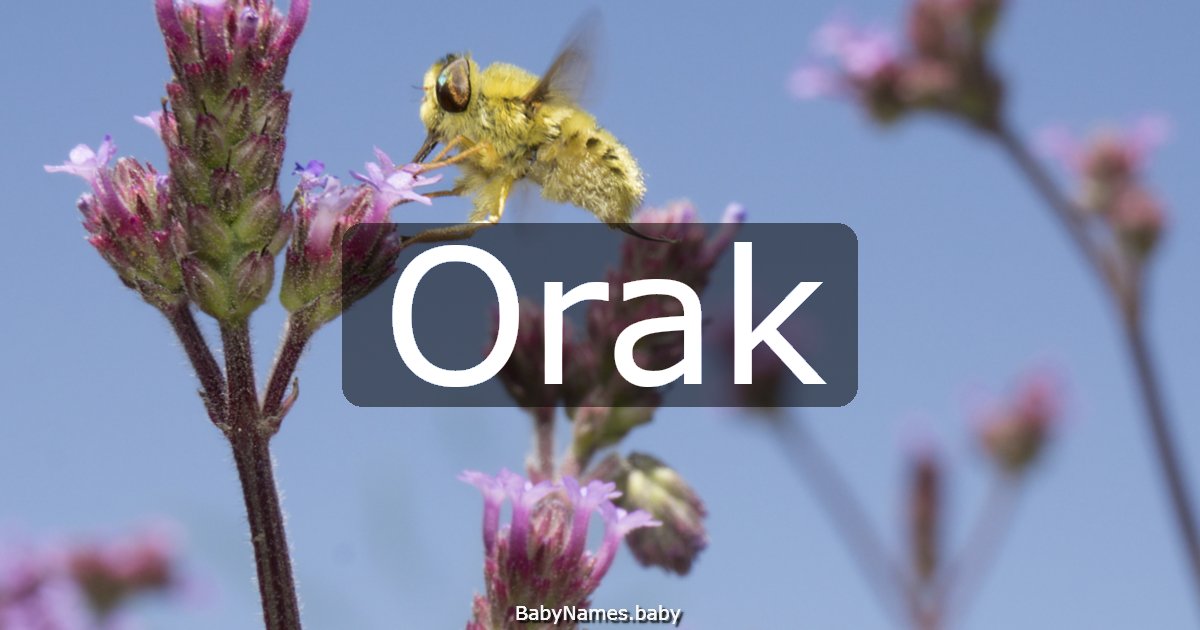 Orak