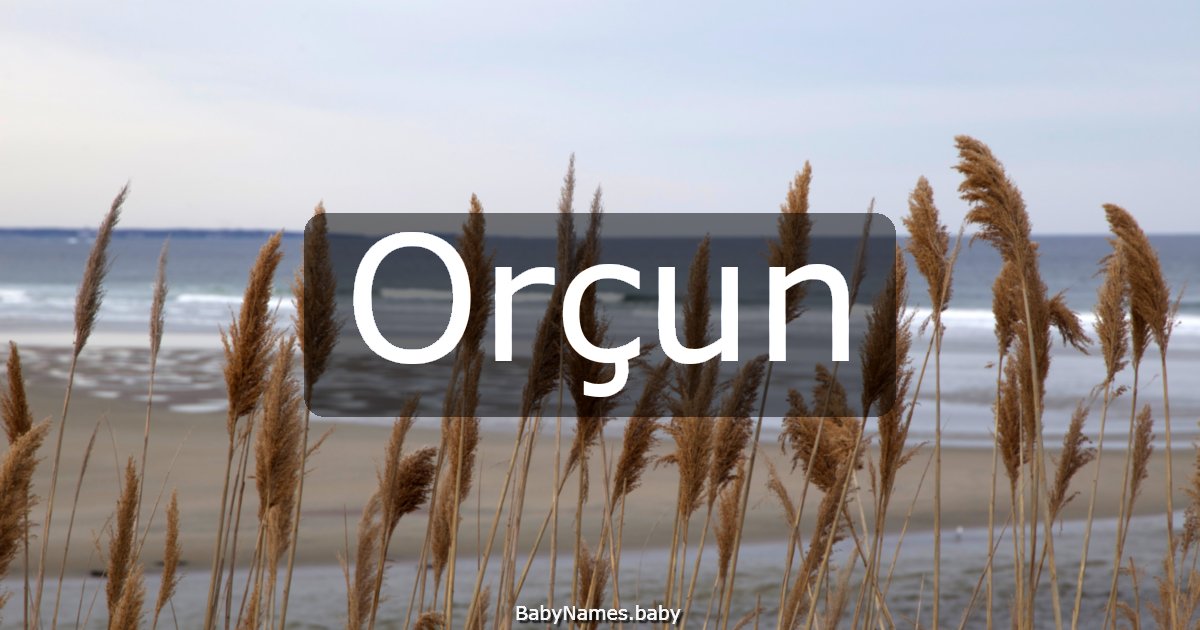 Orçun