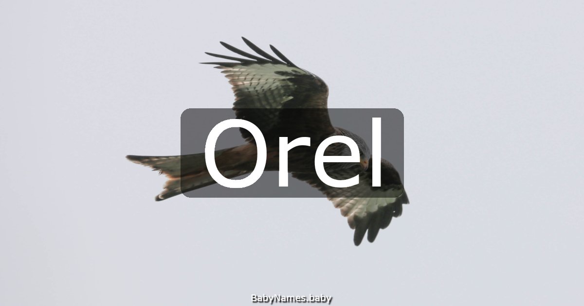 Orel