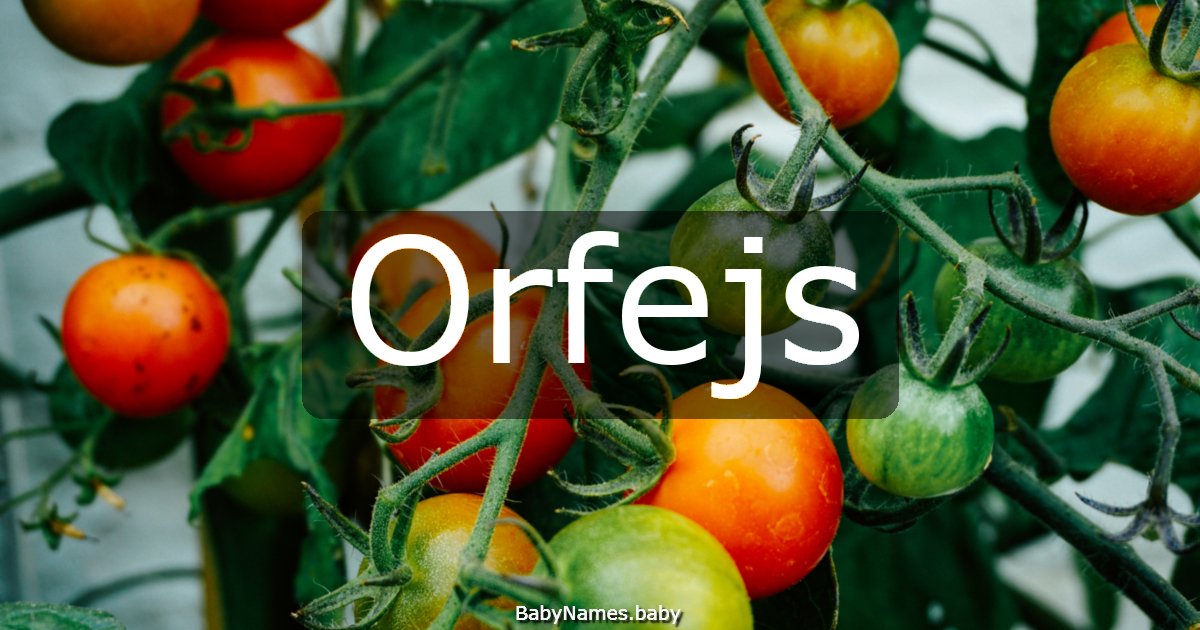 Orfejs