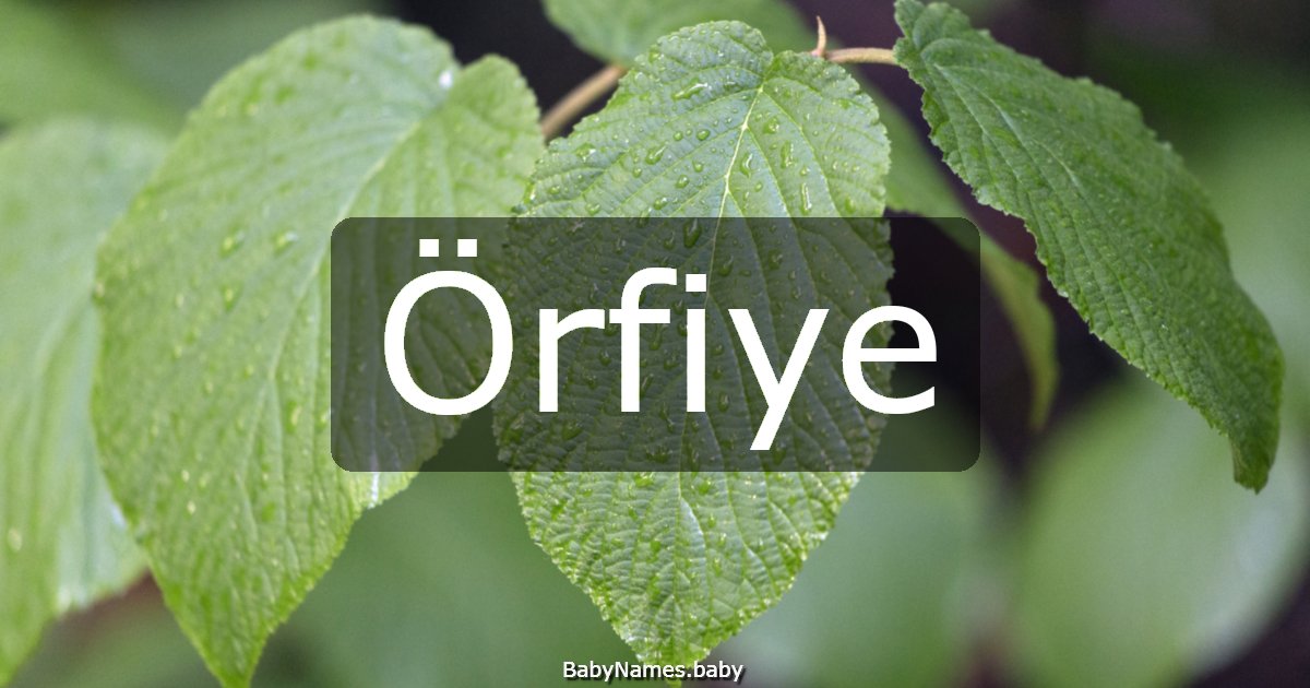 Örfiye