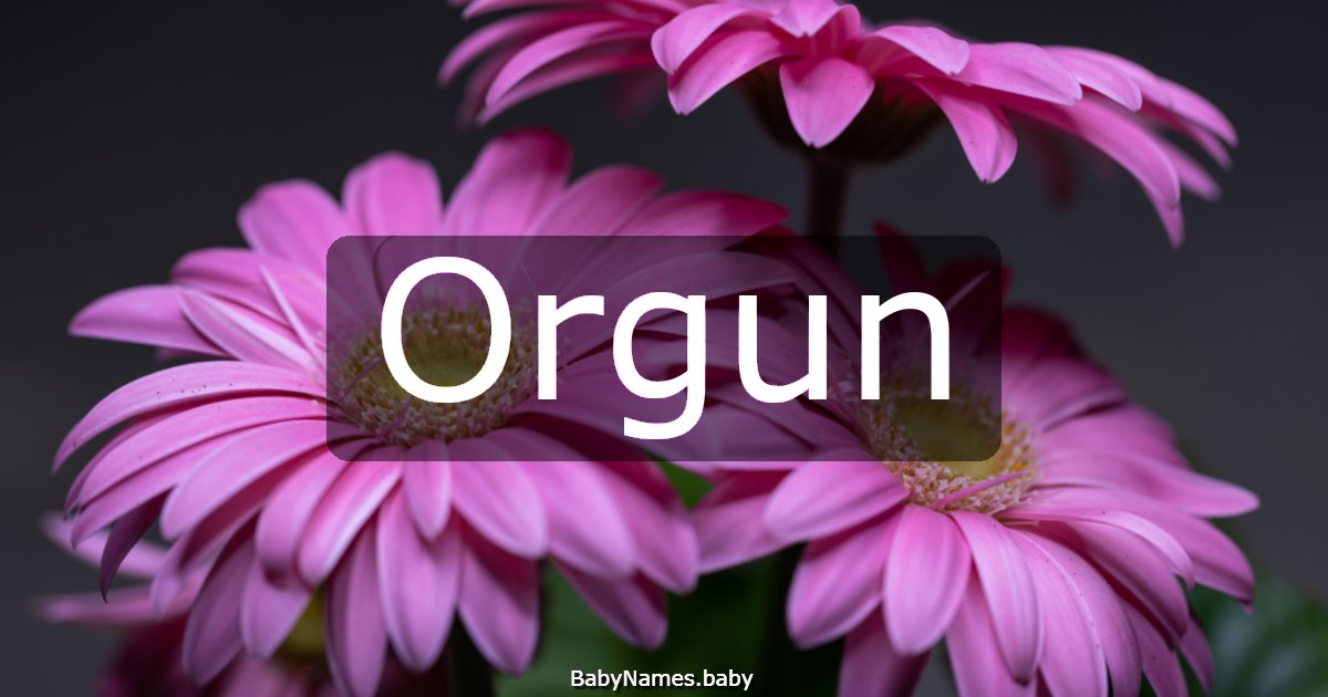 Orgun