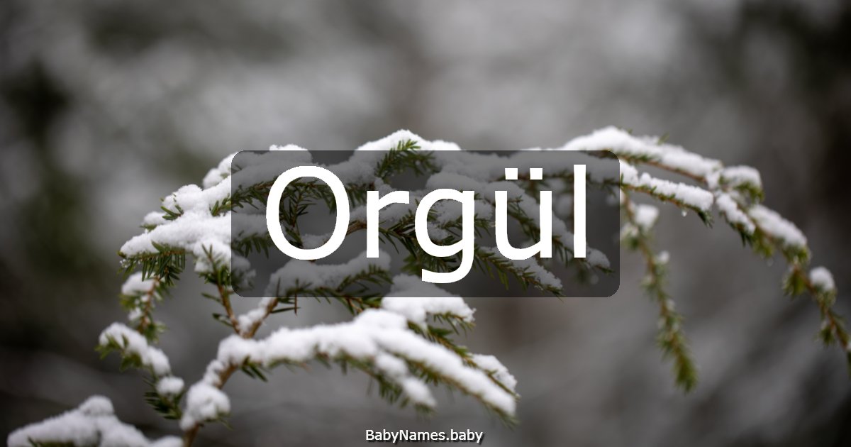 Orgül