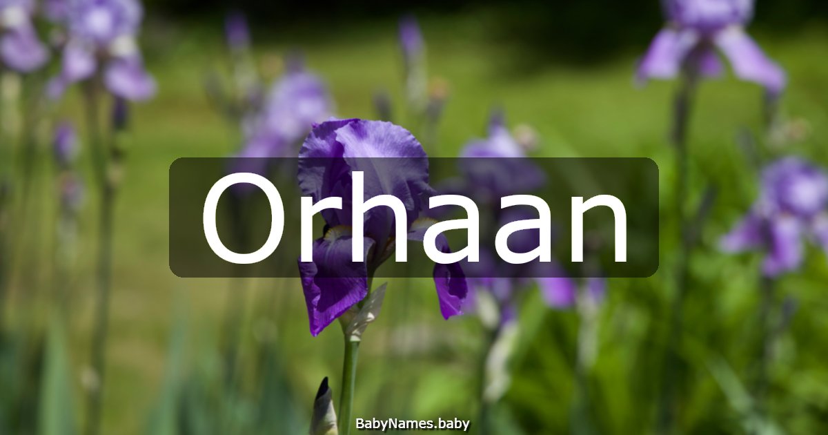 Orhaan