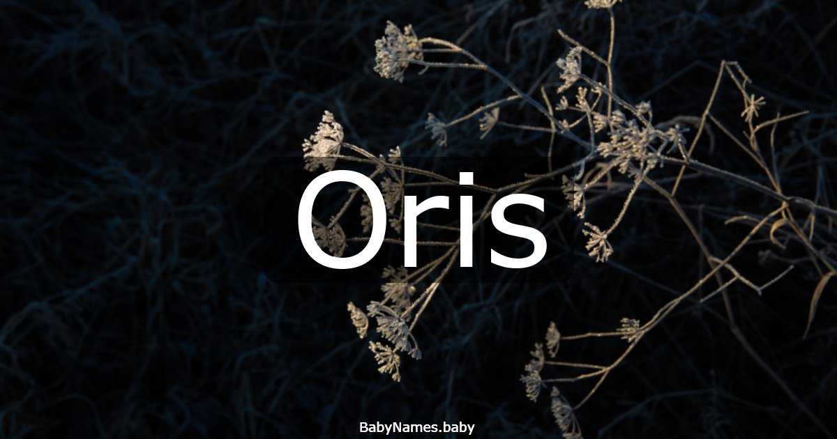 Oris