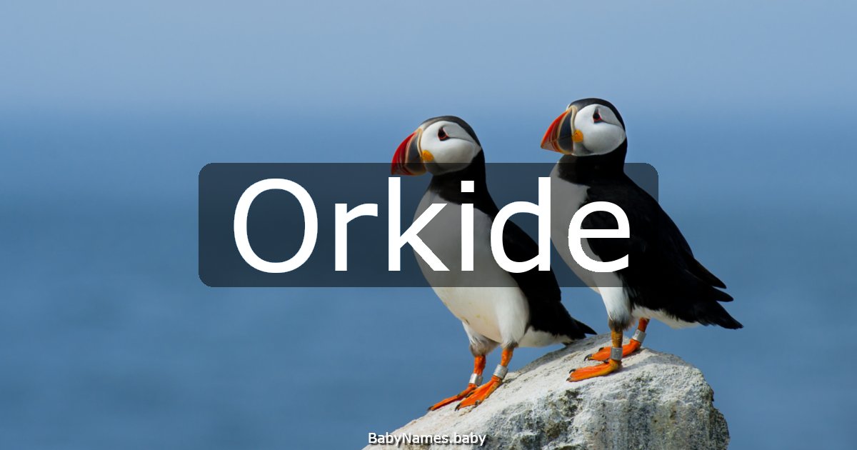 Orkide
