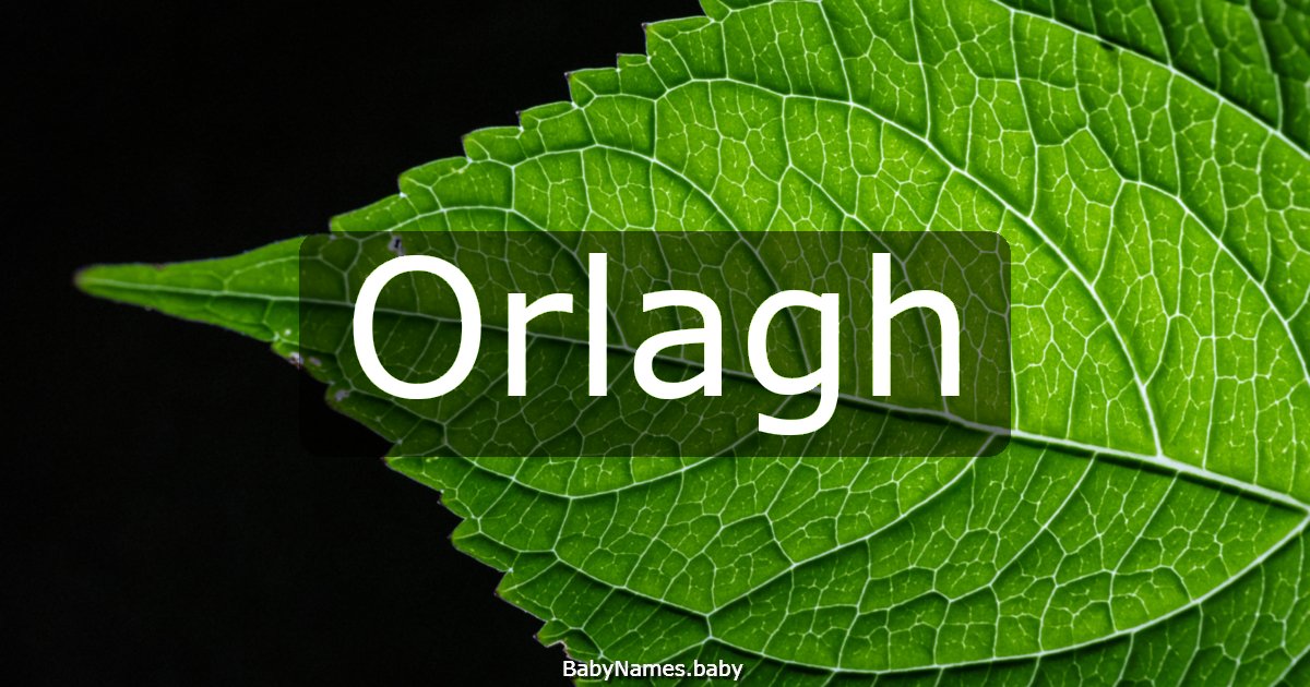 Orlagh