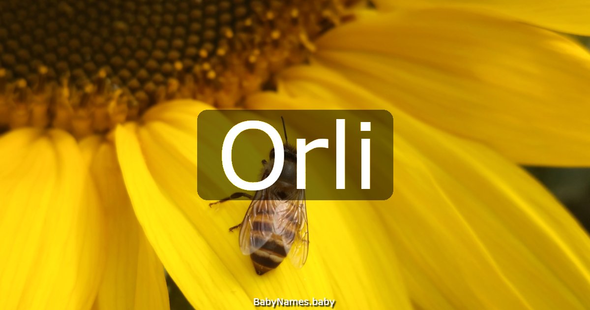 Orli